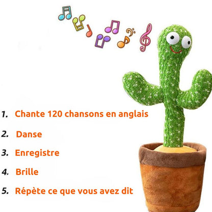 TuniCacti : Cactus Dansant